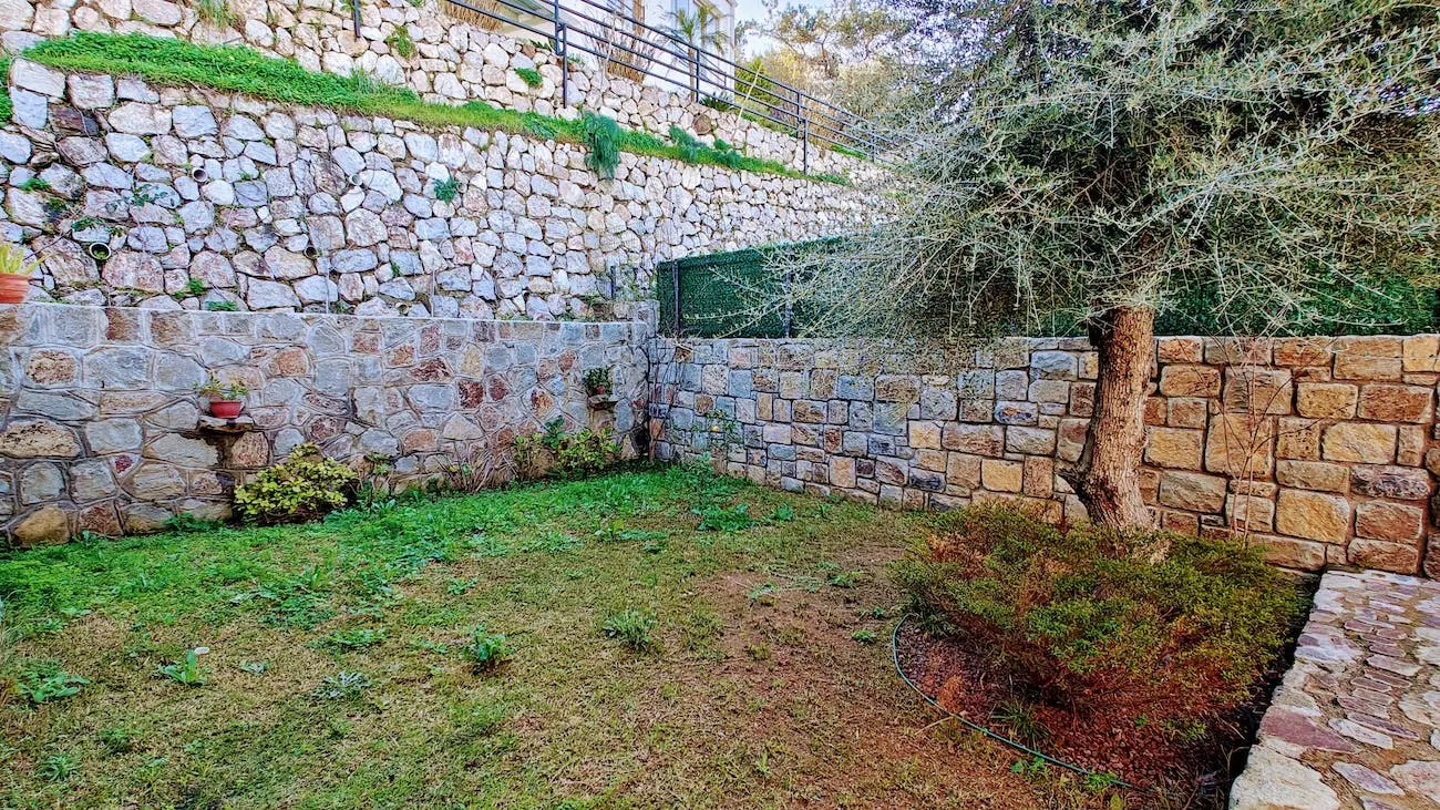 Mature garden